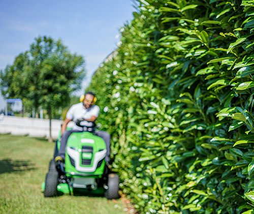 Gartenservice Clean Service Scaramuzzo AG